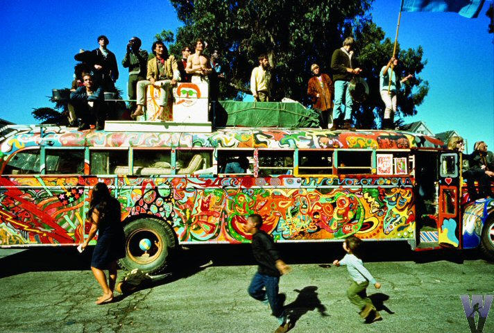magicbus.jpg