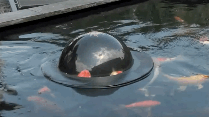 VaKy.gif