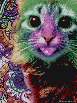 00fca808678d797f6bc24926b330b9fe.gif