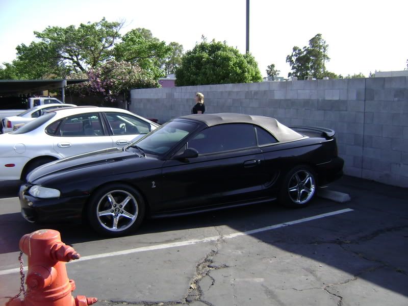 Picture007-7.jpg