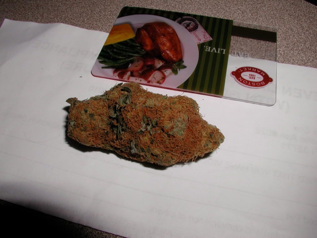 P1010012.jpg