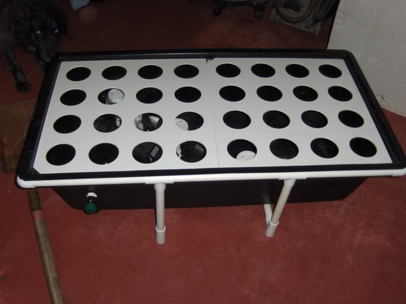 HPIM0212-1.jpg