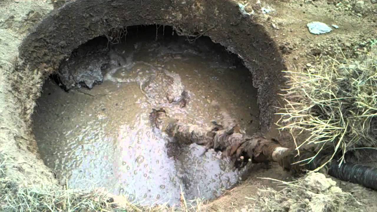 cesspit-shock-treatment.jpg