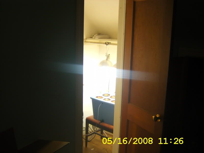 DCAM0185.jpg