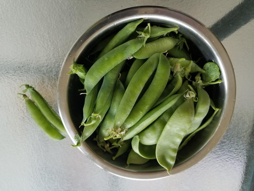 06072021peas.jpg