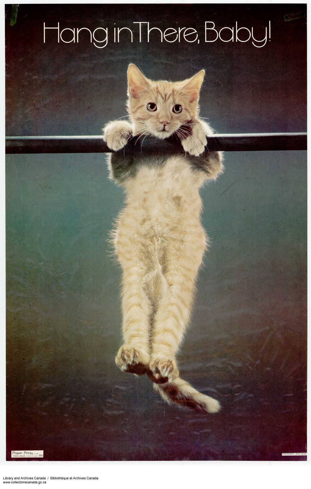 hangin.jpg