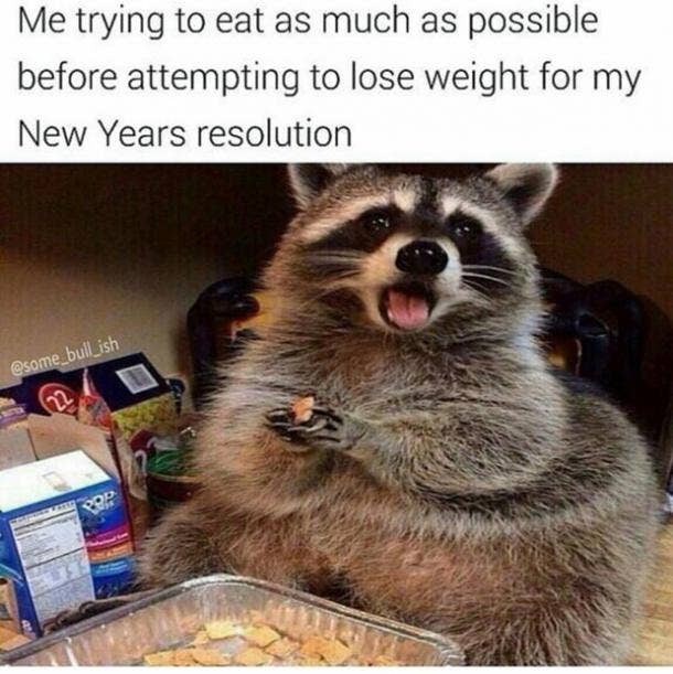 funnyny3.jpg
