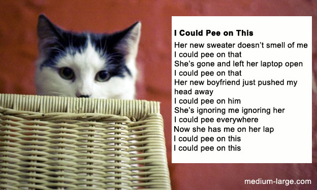 cat-pee-poem-2.jpg