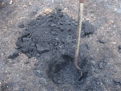 dirt.jpg