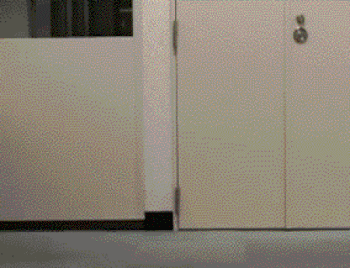 iusBr.gif