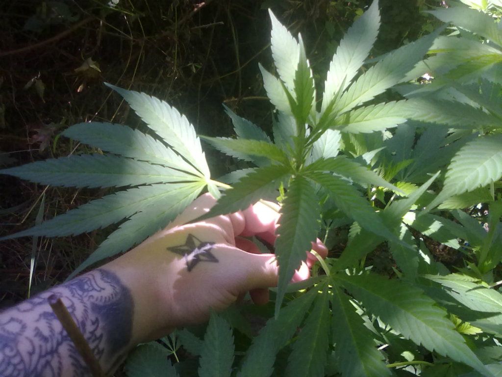 8-25-20126.jpg