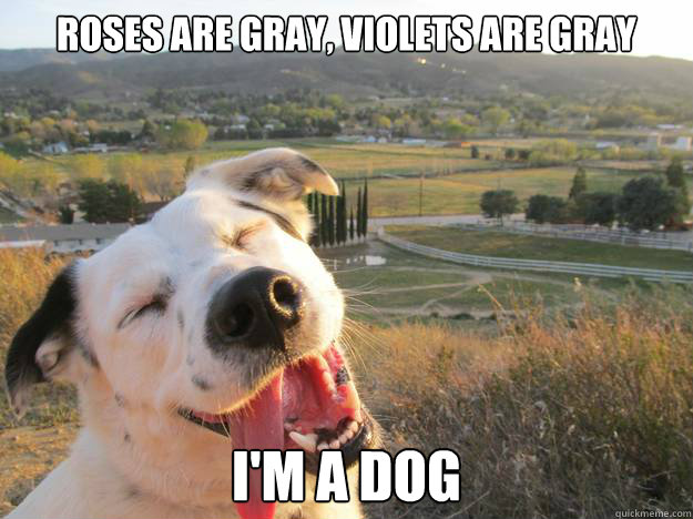 acid_picdump_104.jpg