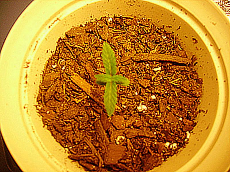PICT0830.jpg