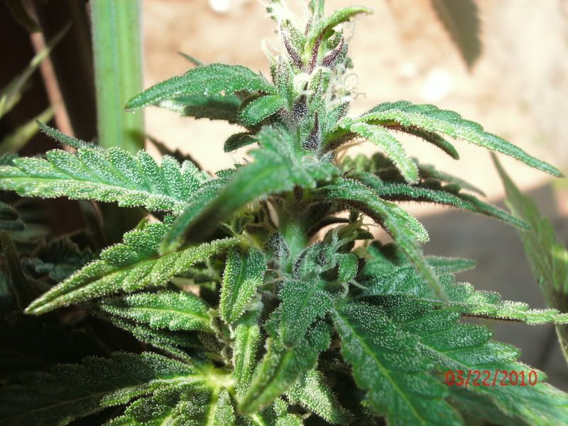 GEDC0360.jpg