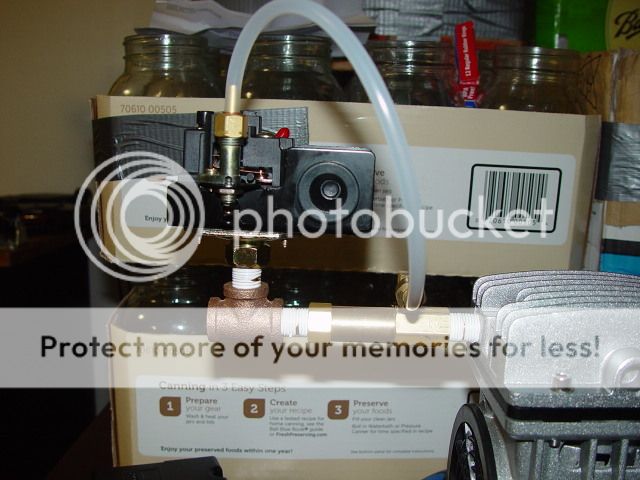 DSC00179.jpg