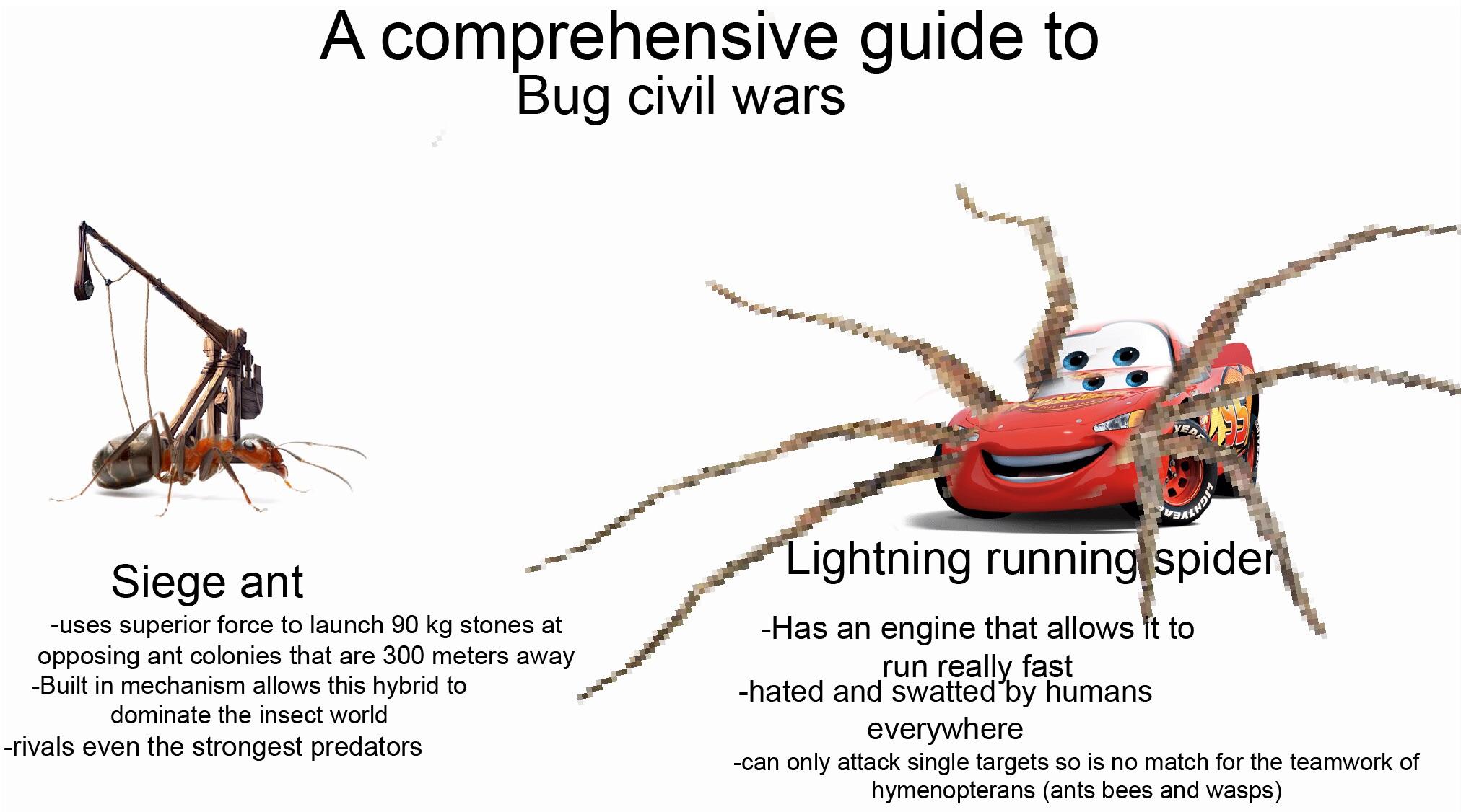 r08sacy32n711.jpg