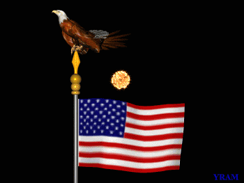 usa_flag_fireworks_animated.gif