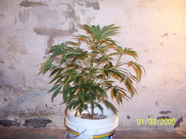 100_0844.jpg