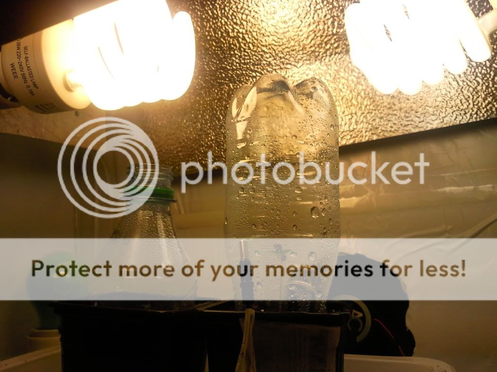 SNC_100811SNC00696.jpg