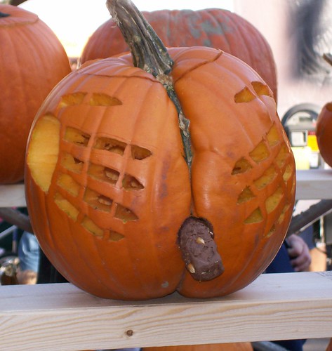 1681026305_99acdcd66f.jpg