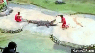 7sBcd1.gif