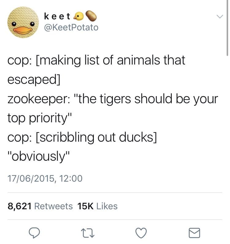461a5defcf398f73220f070e2d7d017e.jpg