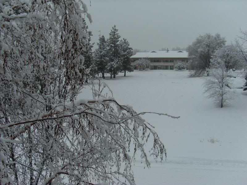 Picture001-5.jpg
