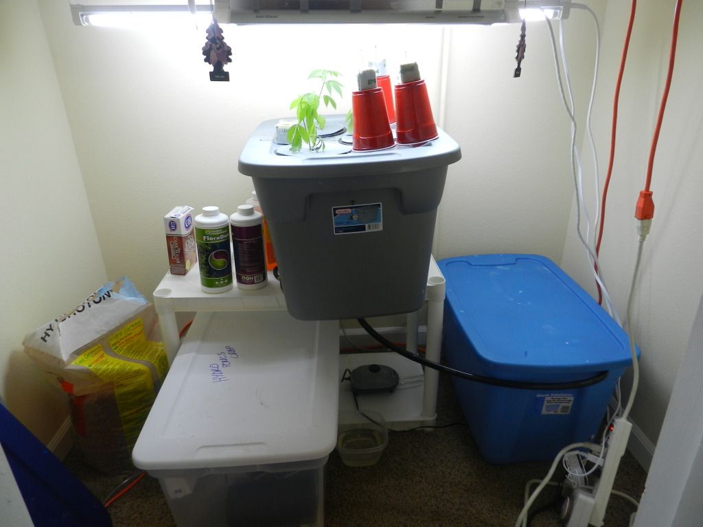 DSCN1478.jpg