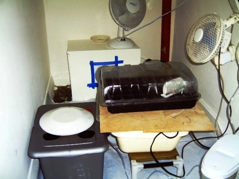 08.jpg