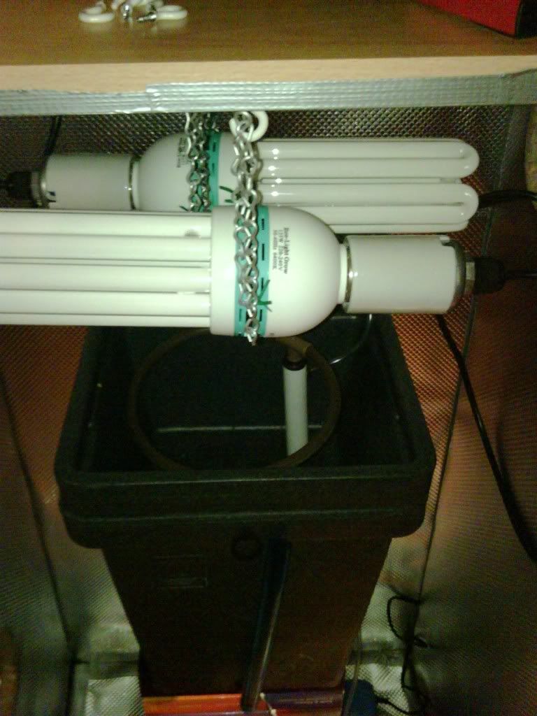 GrowBox_FrontTop.jpg