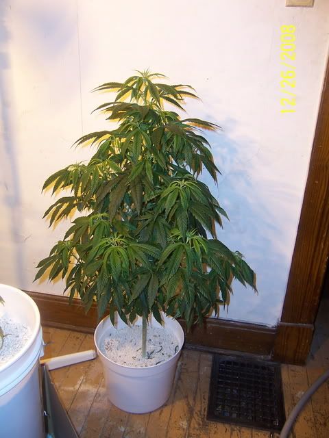 000_4068.jpg