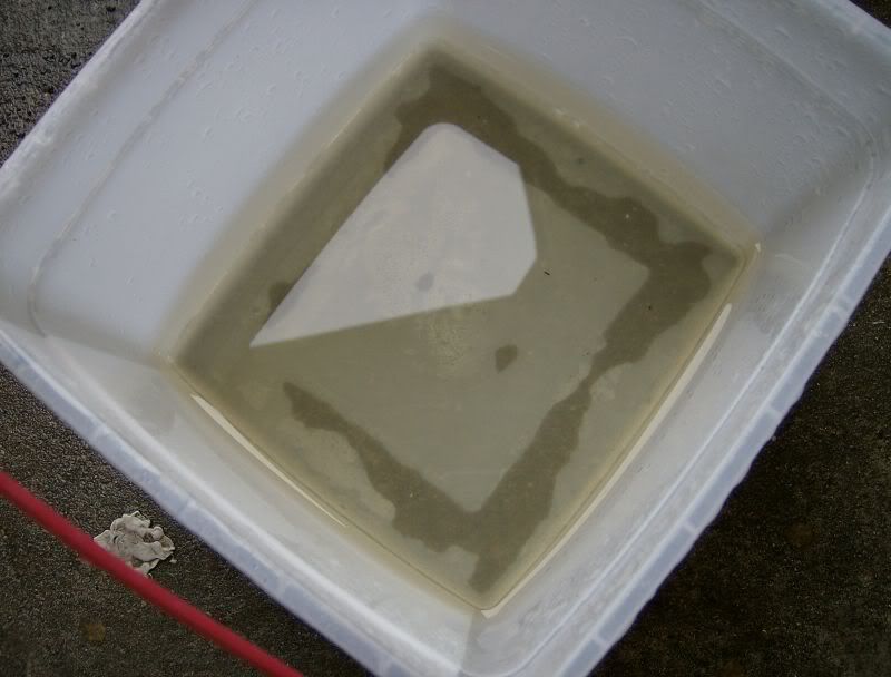 yellowed2.jpg