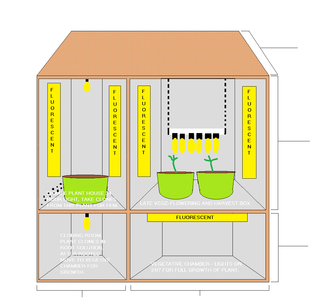 FOURCHAMBERGROWROOM.gif