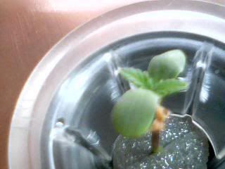 Picture024.jpg