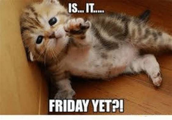 happy-thursday-images-funny.jpg