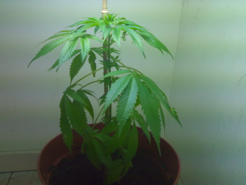 23092007165.jpg
