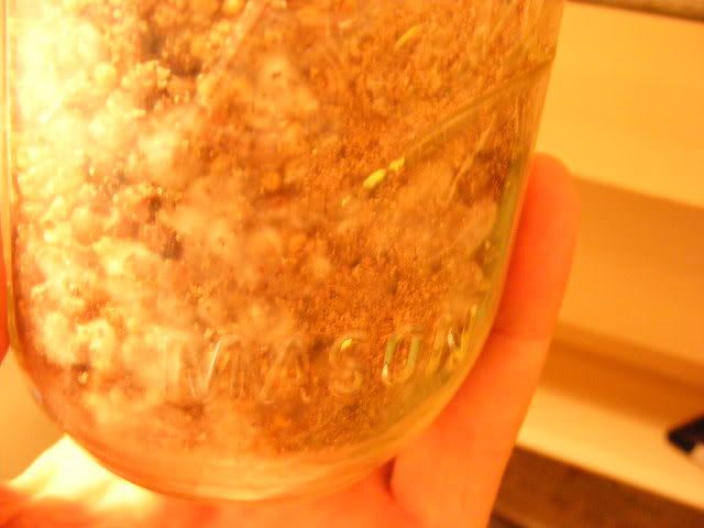 Picture004.jpg