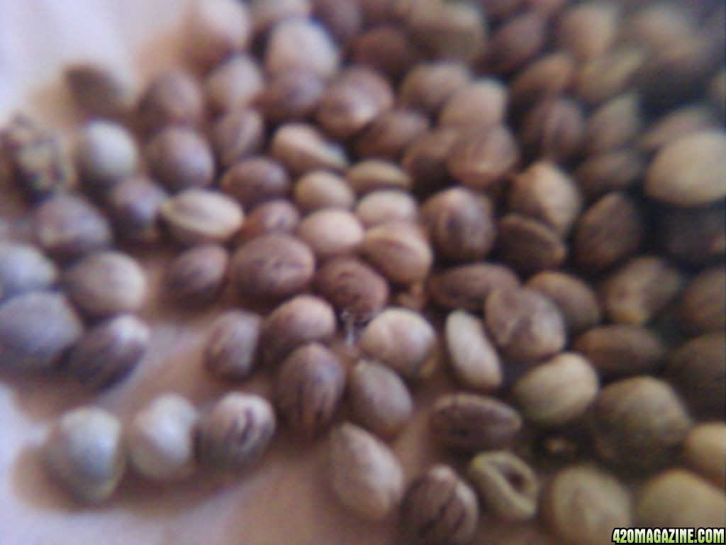 0812111251a.jpg