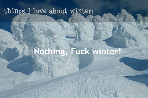 ec9af8689f4b1729efb9d650cbe046a8--winter-quotes-the-current.jpg
