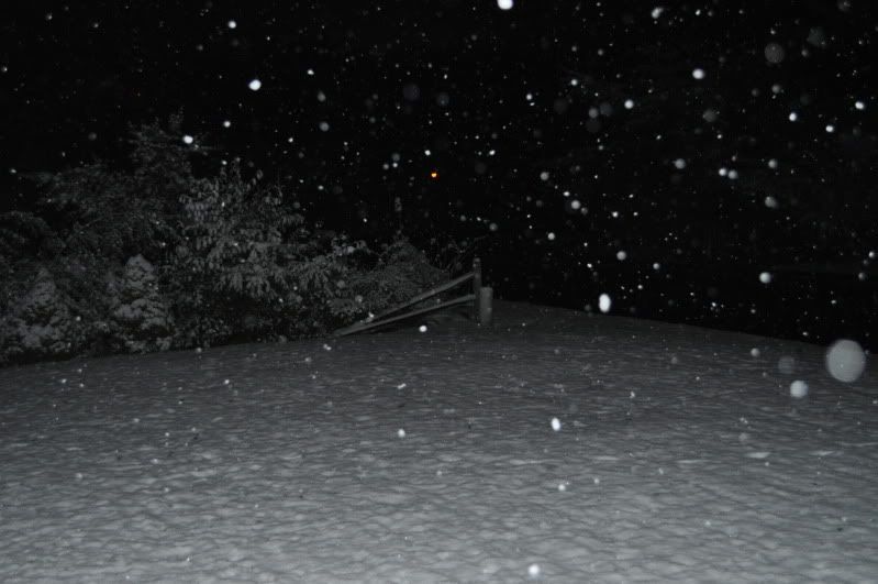 october15to16snow009.jpg