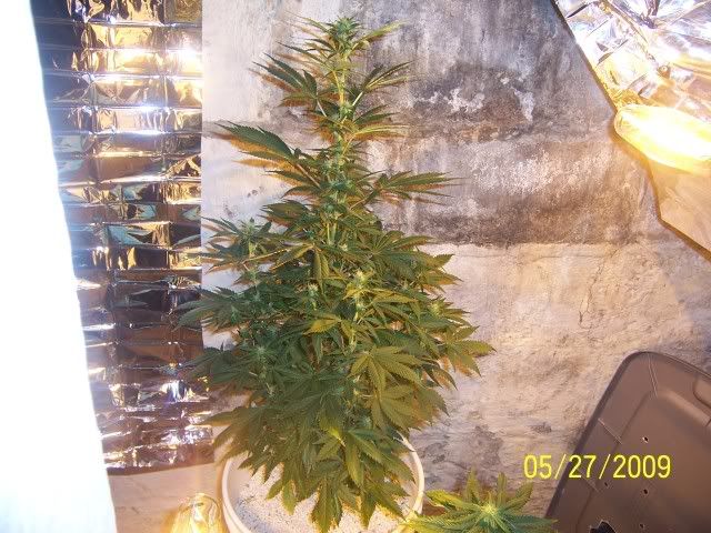 100_1636.jpg