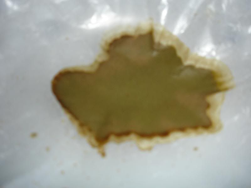sgswtwr4t5w002.jpg
