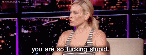 chelsea-handler-you-are-so-fucking-stupid.gif