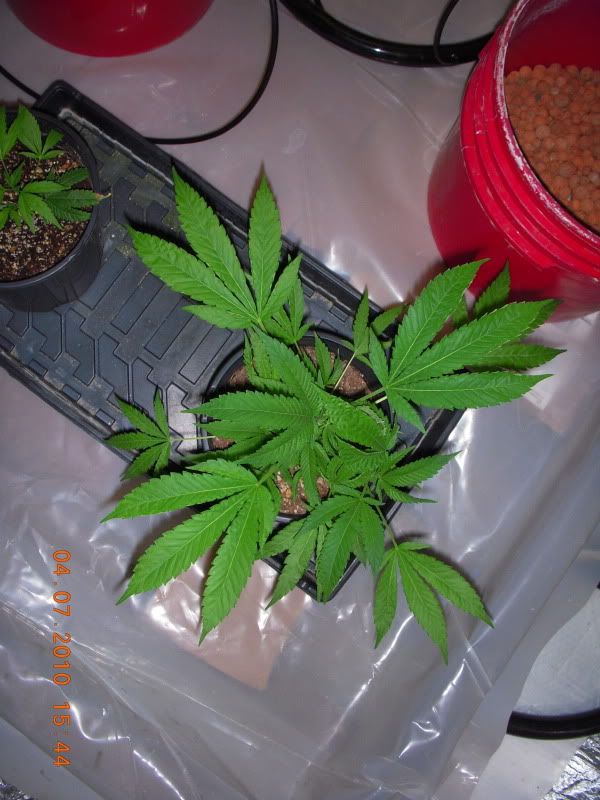 PK02012.jpg