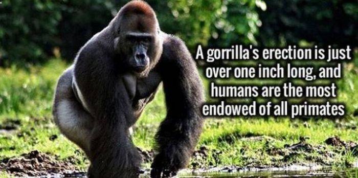 interesting_facts_01.jpg