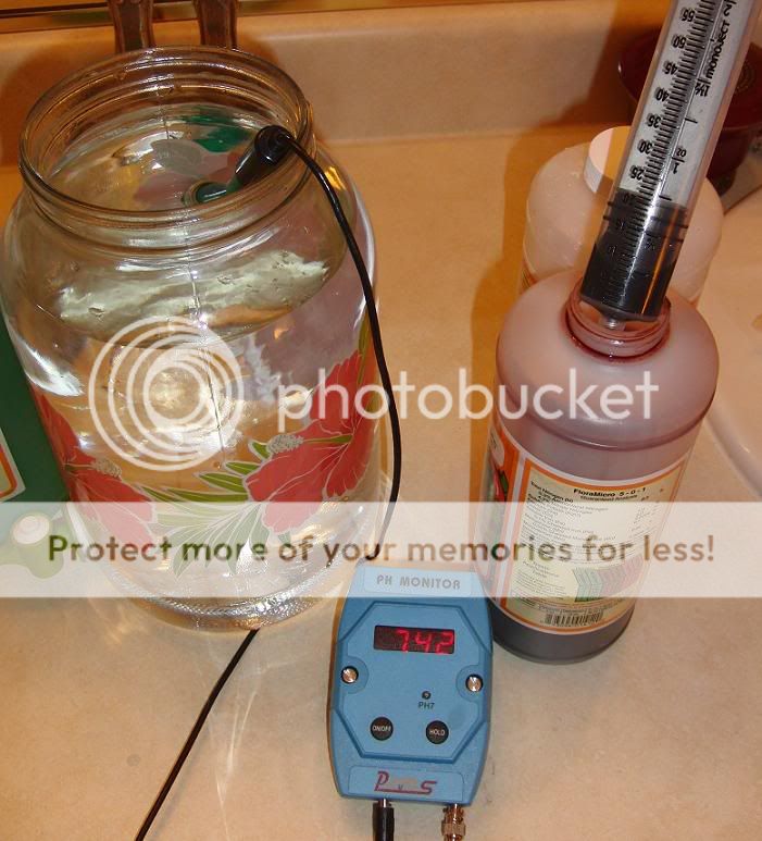 test1.jpg