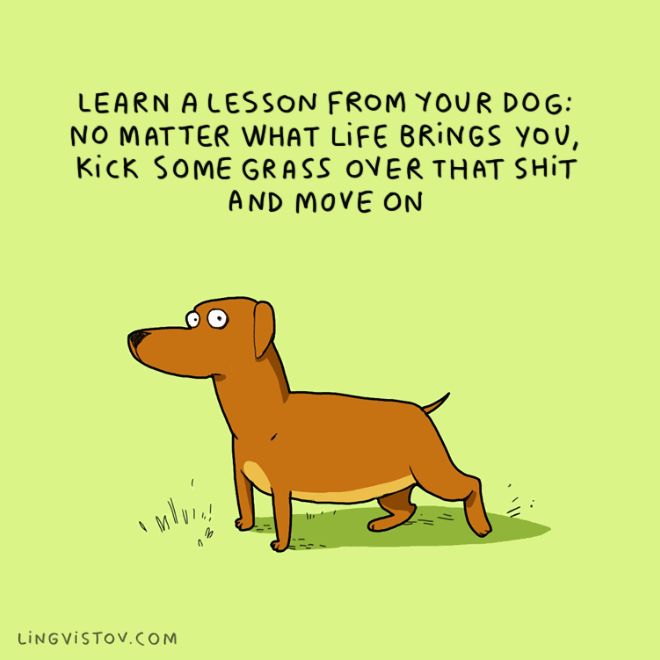 dog_01.jpg