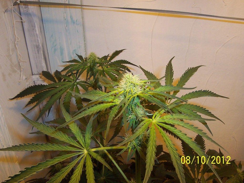 100_2719.jpg