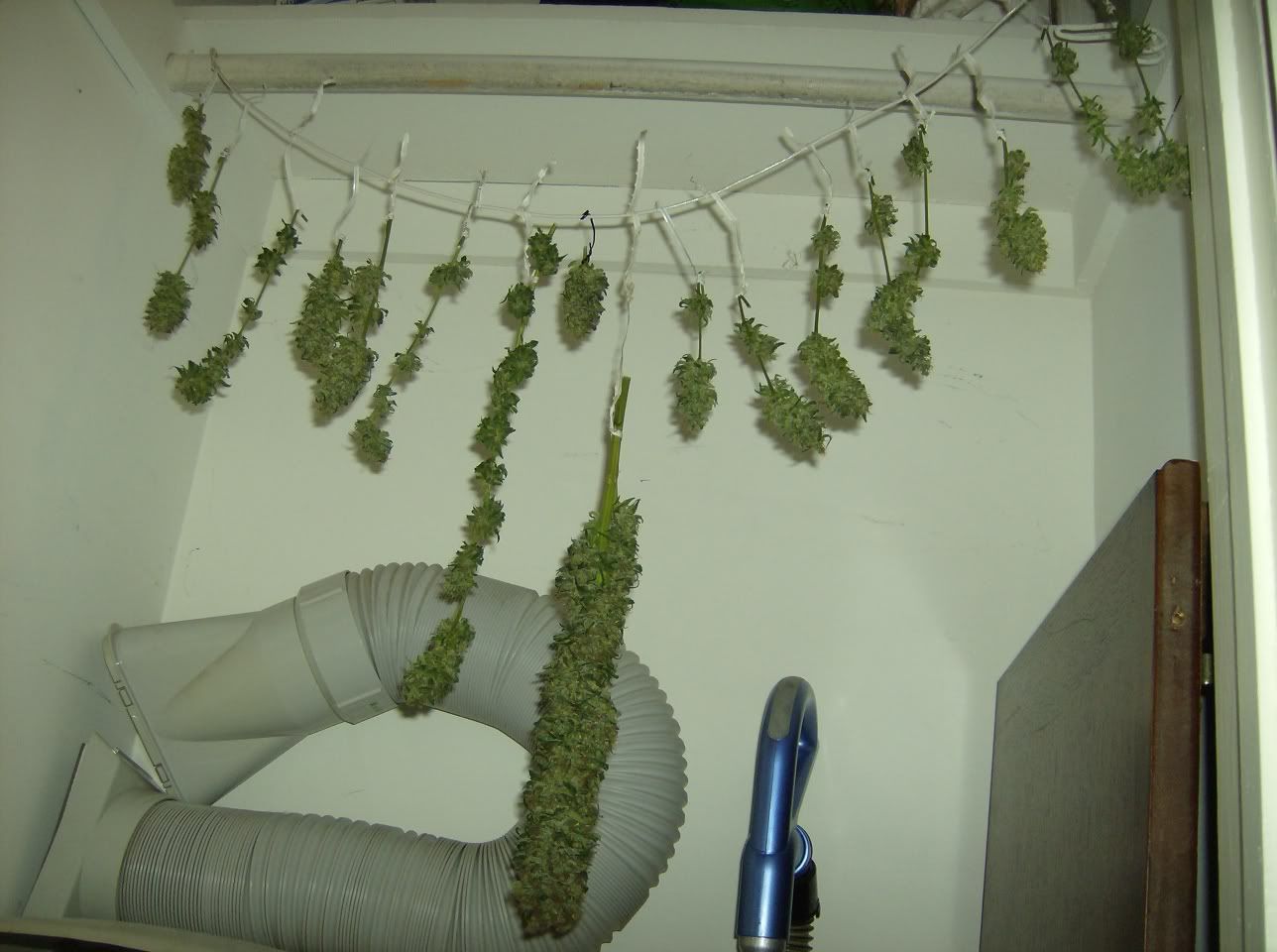 HPIM2009.jpg