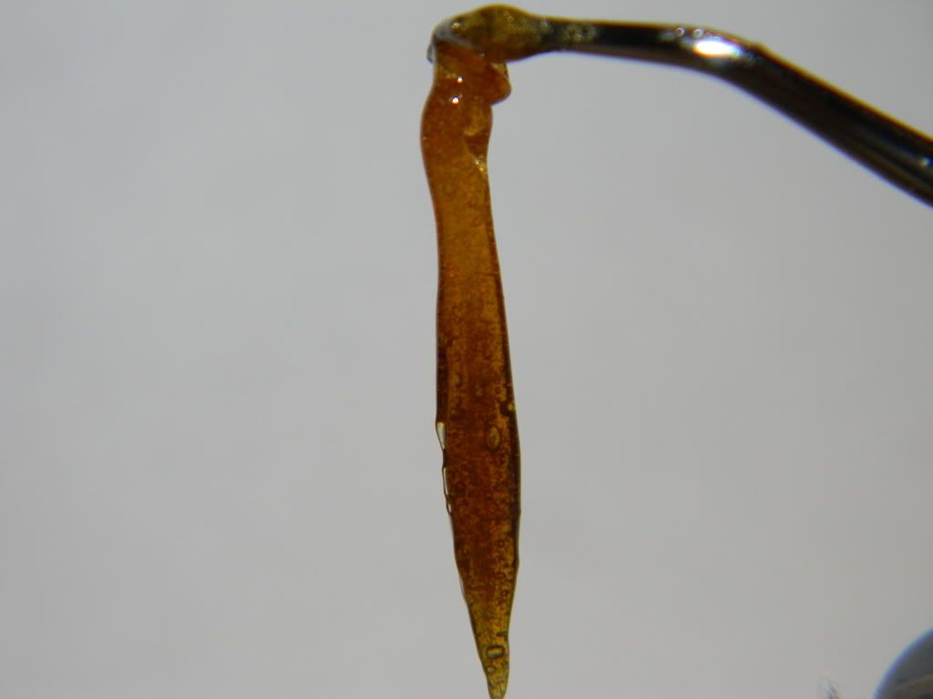 DSCN0914.jpg